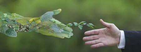 shutterstock_621237140_20-aug-2030_copyrights-shutterstock_no-limits-of-use_1