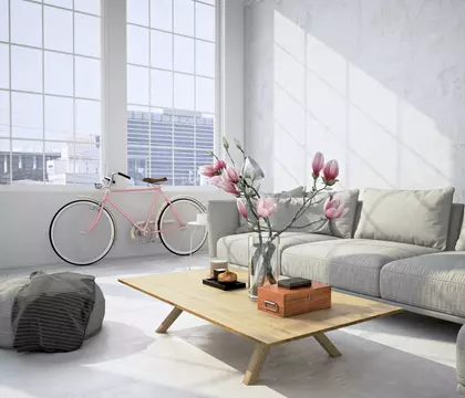 Tencuială umedă - finisaje gleturi/vopsele Tencuială umedă - finisaje gleturi/vopsele