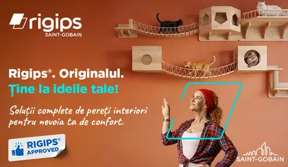 Rigips®. Originalul.